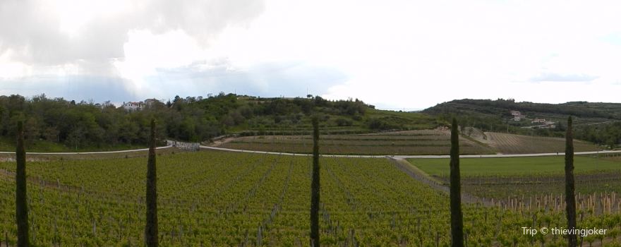 Kabola Winery