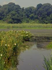 Garrett Family Preserve at Cape Island Creek