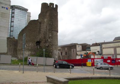 Swansea Castle