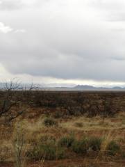 Coronado State Monument