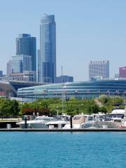 Soldier Field