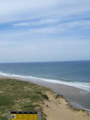 Head of the Meadow Beach