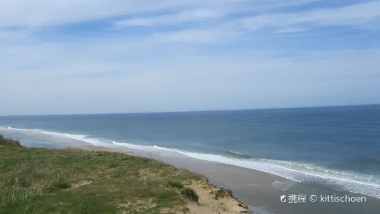 Head of the Meadow Beach