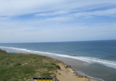 Head of the Meadow Beach