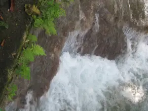 Jamaica State Park