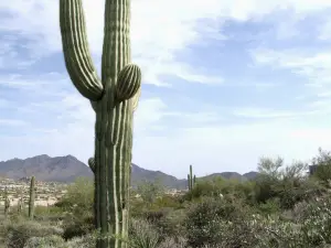 Pinnacle Peak Park