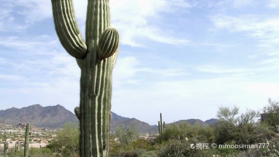 Pinnacle Peak Park
