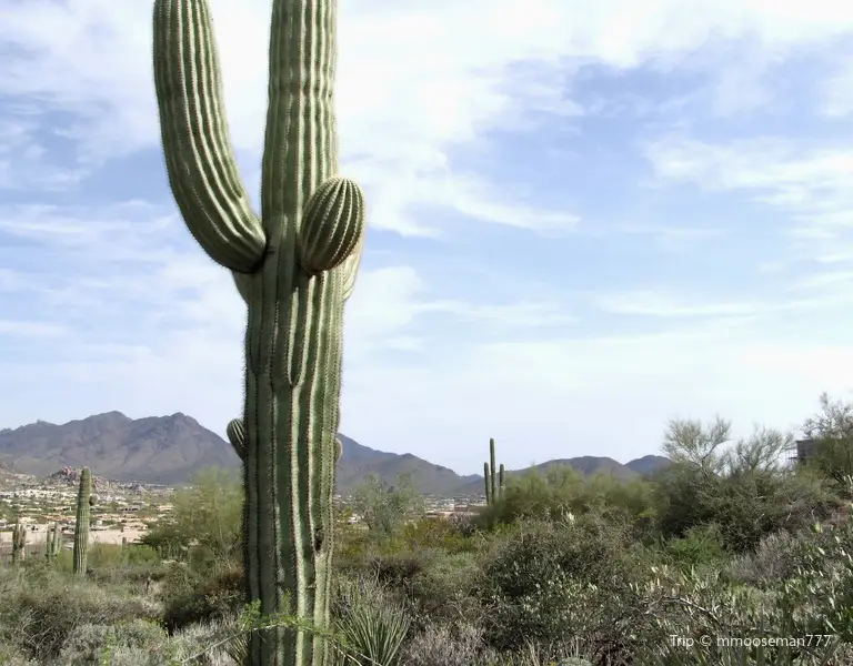 Pinnacle Peak Park