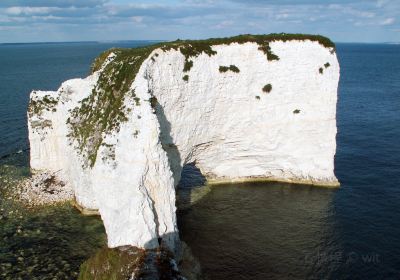 Old Harry Rocks