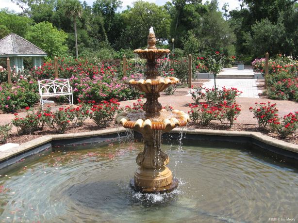 Florida Botanical Gardens
