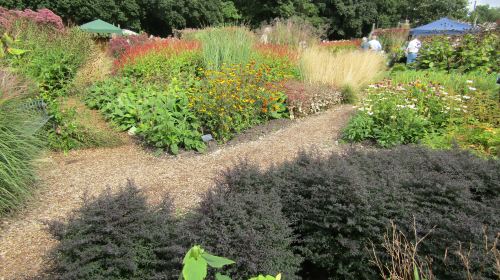 Sussex Prairies Garden