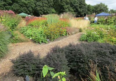 Sussex Prairies Garden