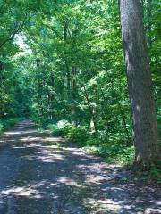 Monte Sano State Park