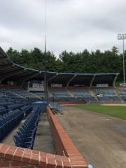 Asheville Tourists