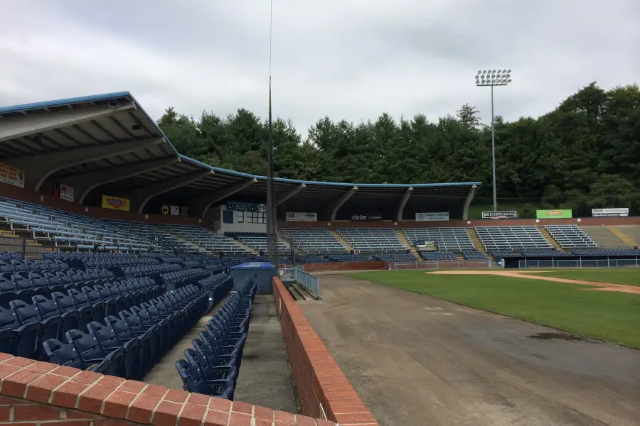 Asheville Tourists