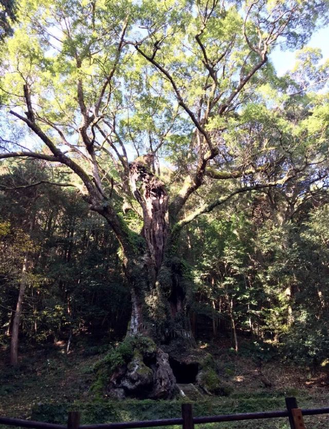 武雄市文化会館庭園 (旧武雄鍋島家庭園)
