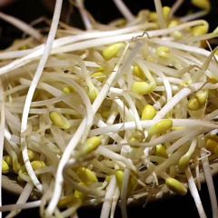 最火老火锅(观音桥总店) User Photo