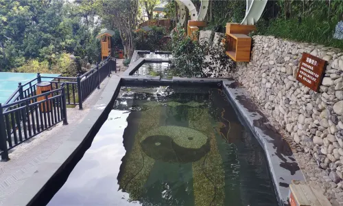 Yandang Mountain Hot Spring