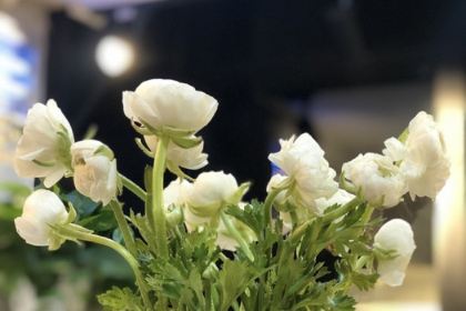 木棉花海鲜面馆(温岭店)