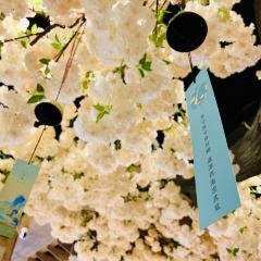 憶初日料張用戶圖片