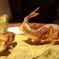 Kani Douraku Ginza Hachichōme User Photo