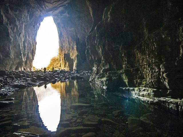 Bat Caves