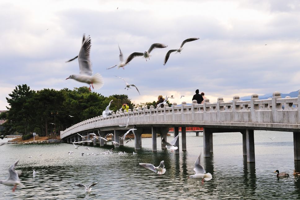 สวนโอโฮริ (Ohori Park)