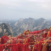 評論圖片 5