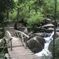 評論圖片 6