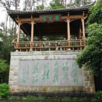 評論圖片 4