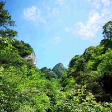 評論圖片 7