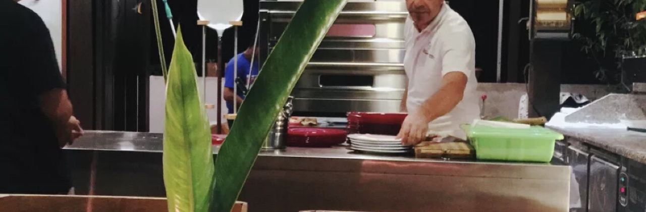 Michelangelo's Pizzeria