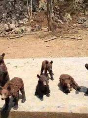 諸仙洞野生動物園