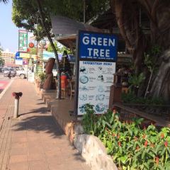 Green Tree Rest. & Pub User Photo