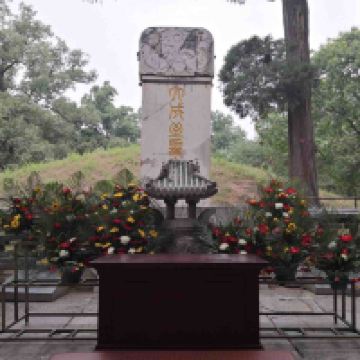 評論圖片 9
