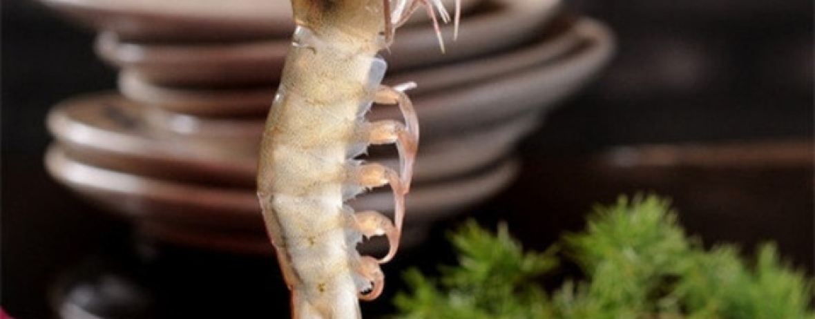 楠柏弯生态火锅山庄(梨花溪店)