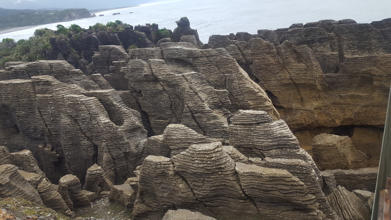 パンケーキ ロックス アンド ブロウホールズ ウォークのレビュー パンケーキ ロックス アンド ブロウホールズ ウォークのチケット パンケーキ ロックス アンド ブロウホールズ ウォークの割引 パンケーキ ロックス アンド ブロウホールズ ウォーク