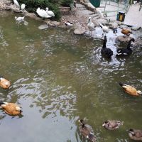 評論圖片 7
