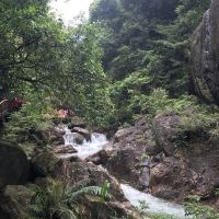評論圖片 9