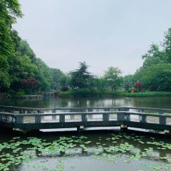 钰湘宴·剁椒鱼头王(岳麓望月公园店) User Photo