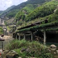 評論圖片 4