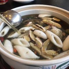 菌齐彩菇 User Photo