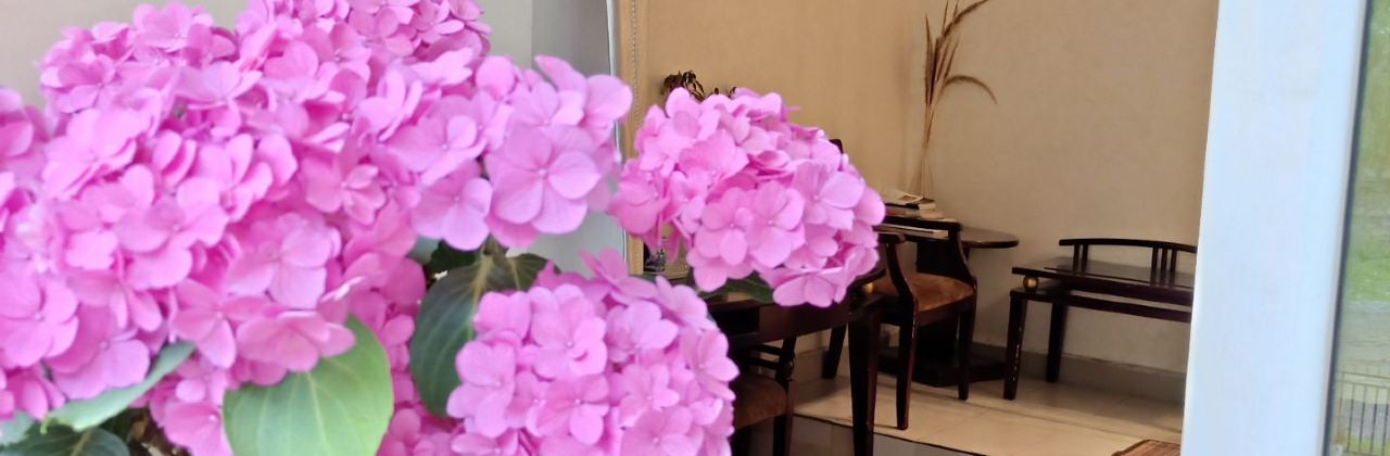 四姑娘山木尔甲客栈张弟饭庄