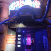 評論圖片 6