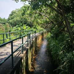 Chezhandoufuhua User Photo