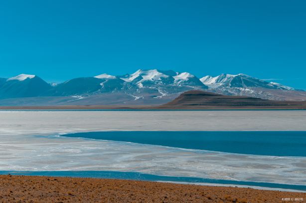 Rinchen Shuptso