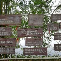 評論圖片 3