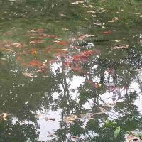 評論圖片 3
