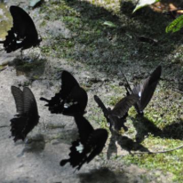 評論圖片 6