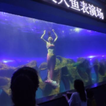 評論圖片 5